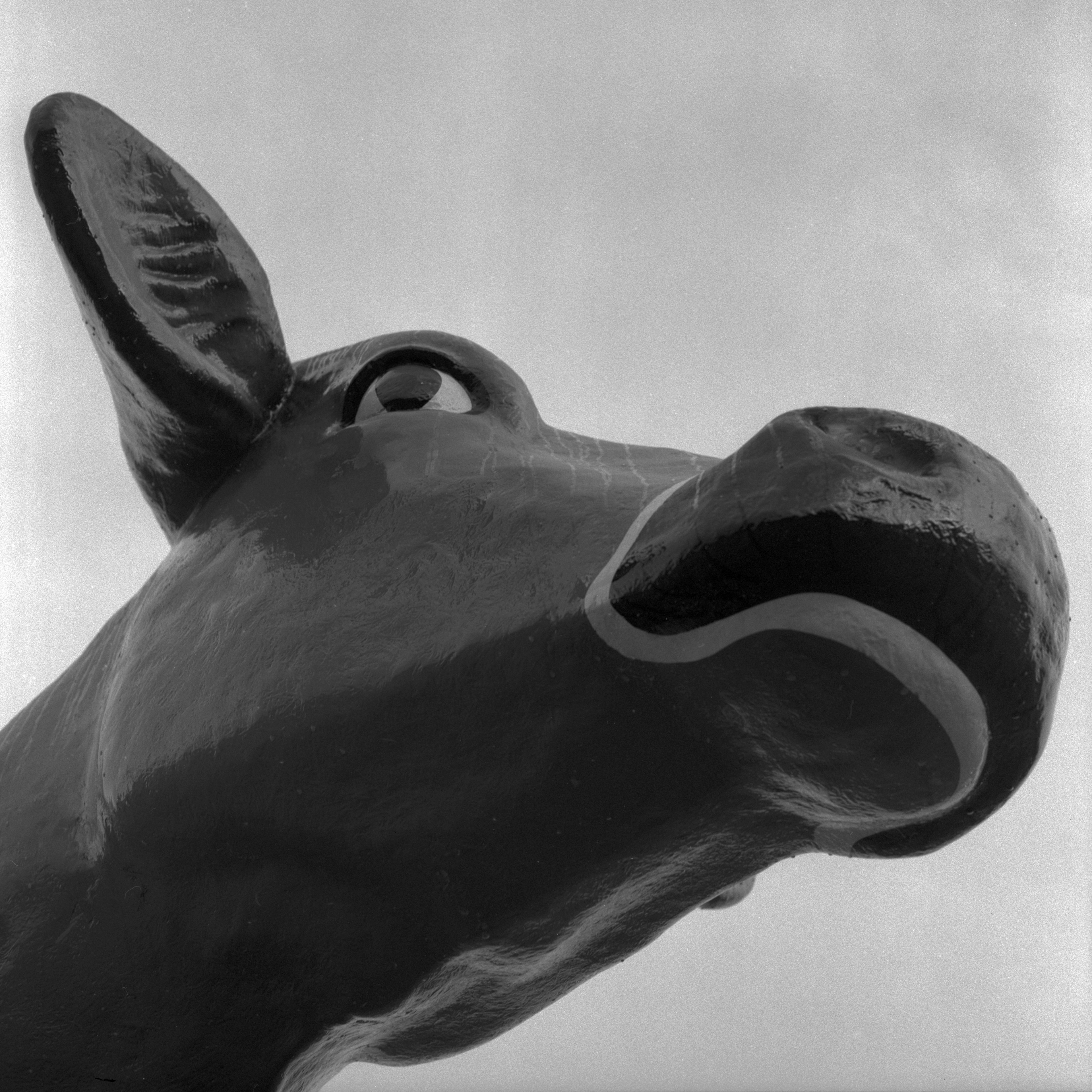 Bristol - Race Weekend