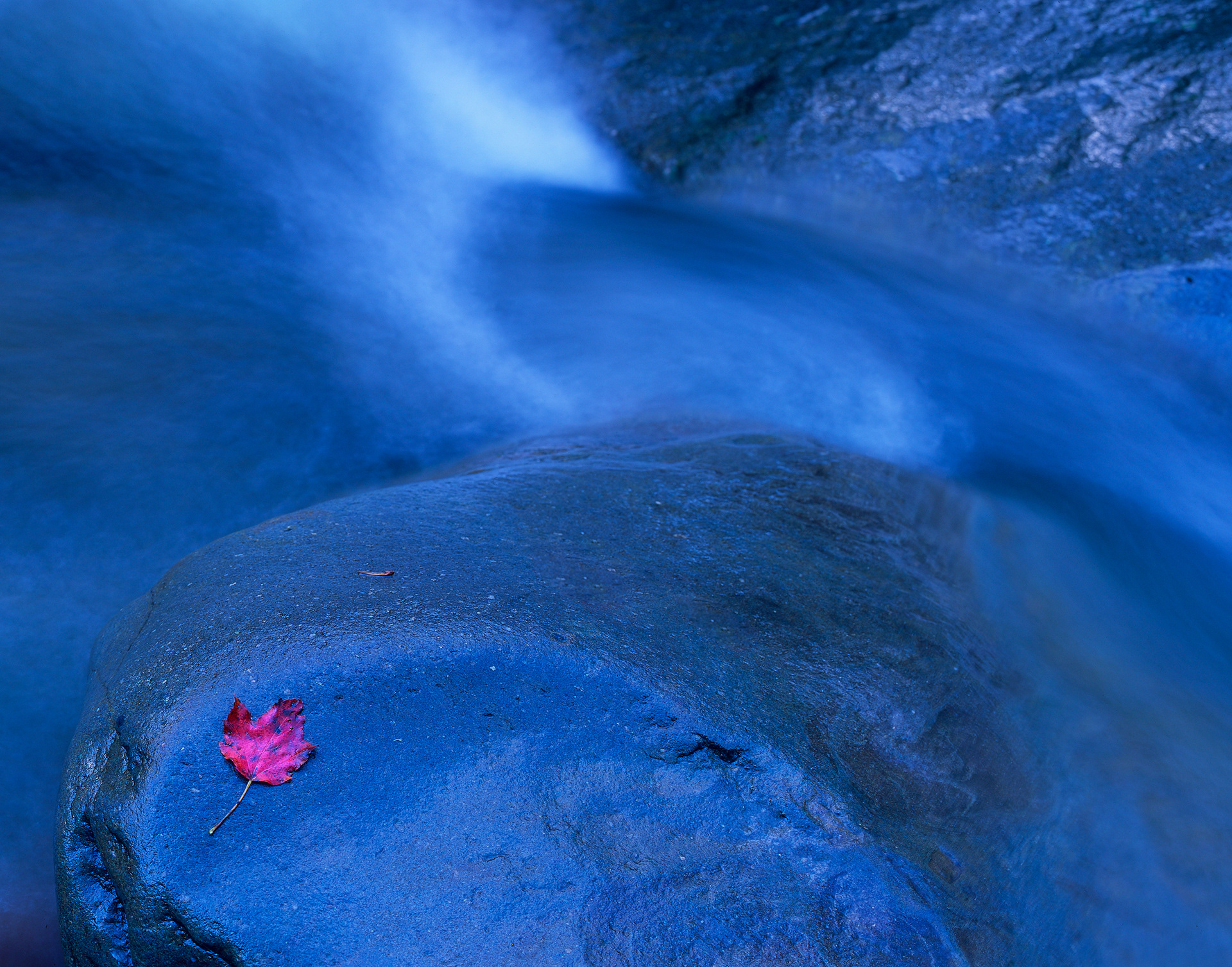 A Creek in North Carolina