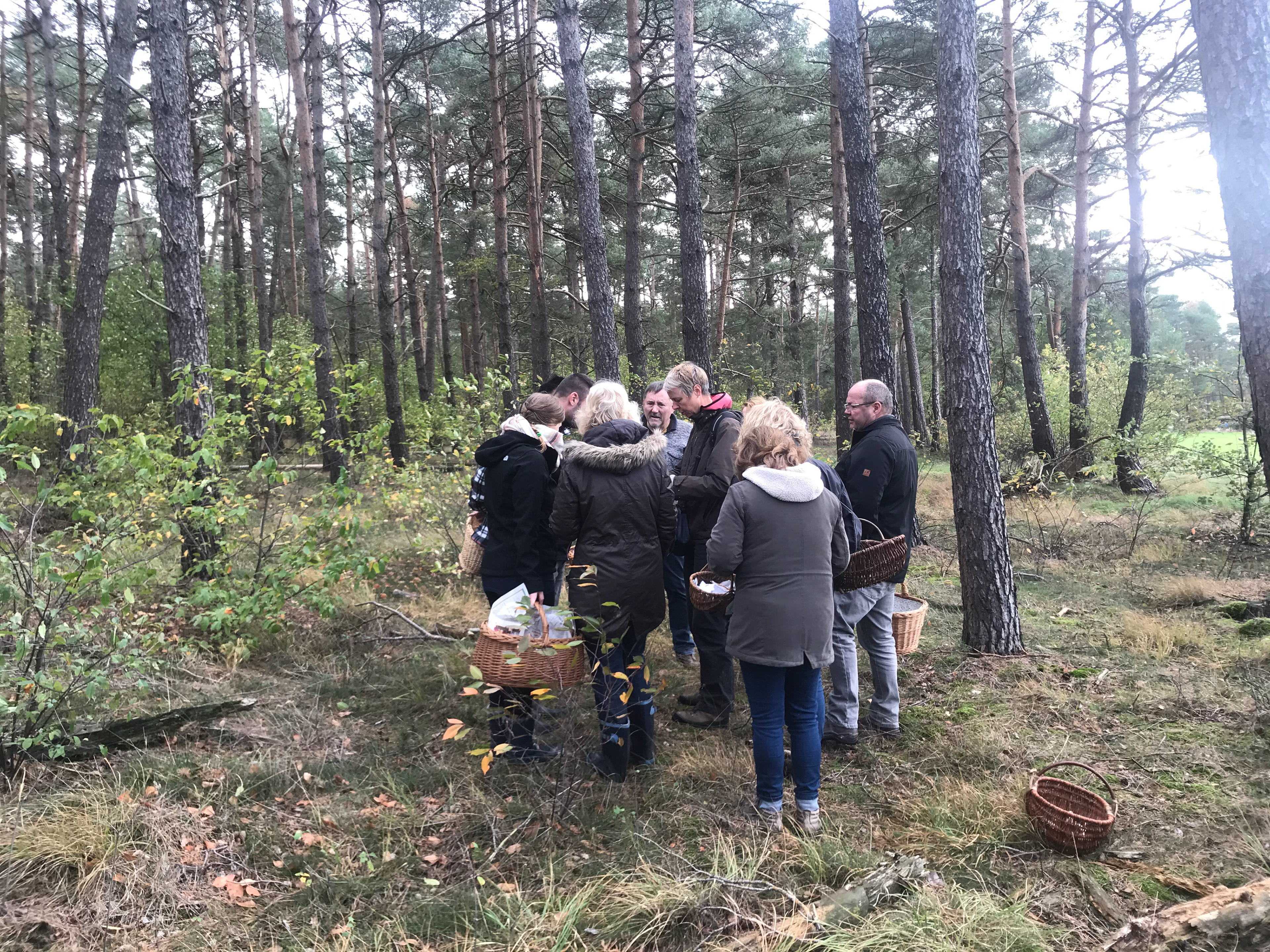 Impressionen vom 27.10.2019