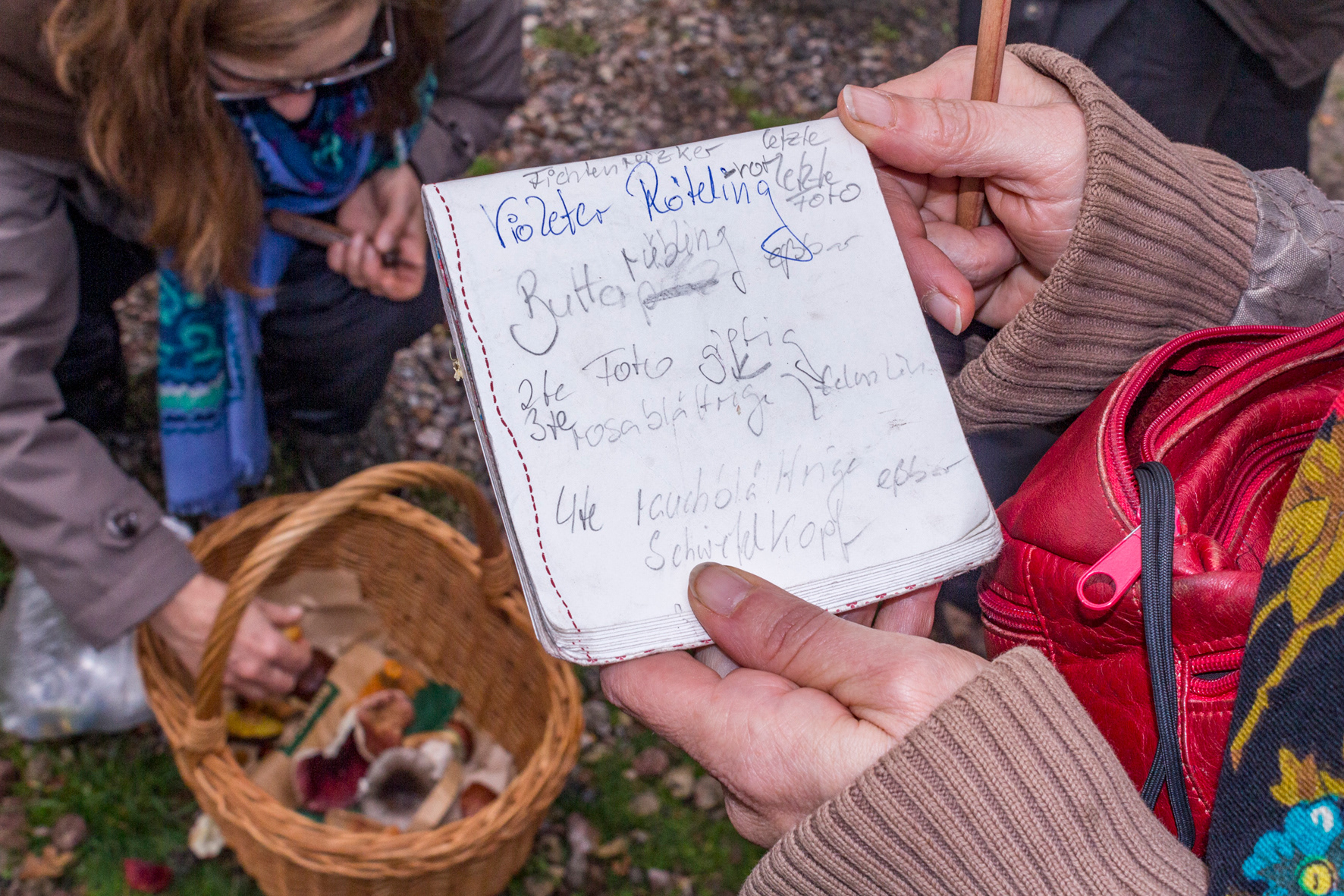 Notizen einer eifrigen Pilzschülerin