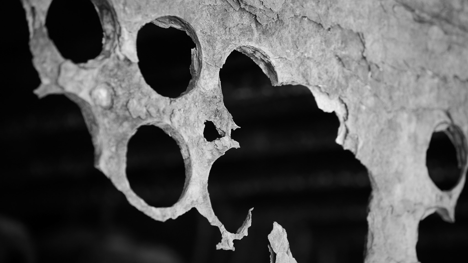 Detail of the boiler