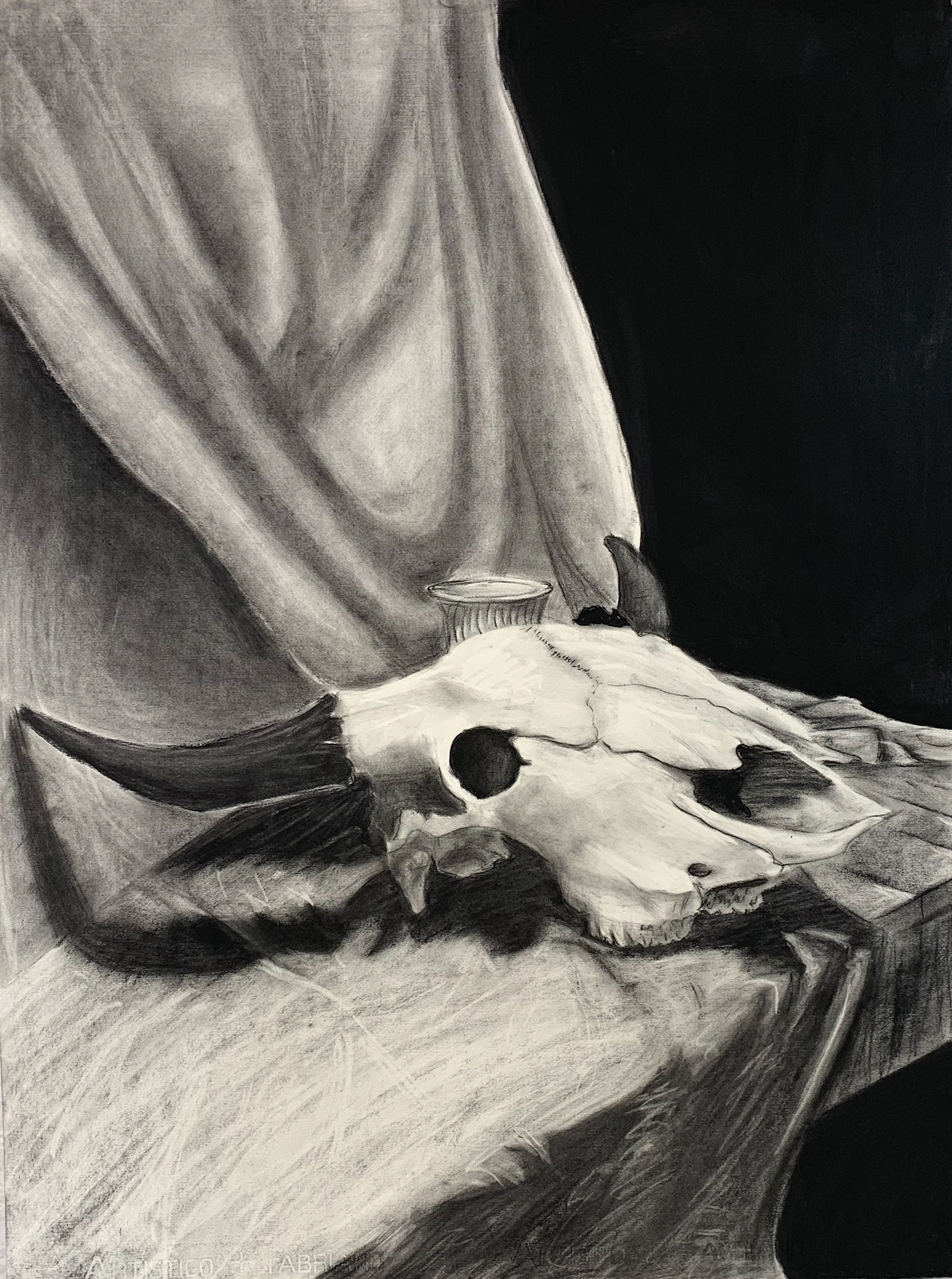 Skull (charcoal)