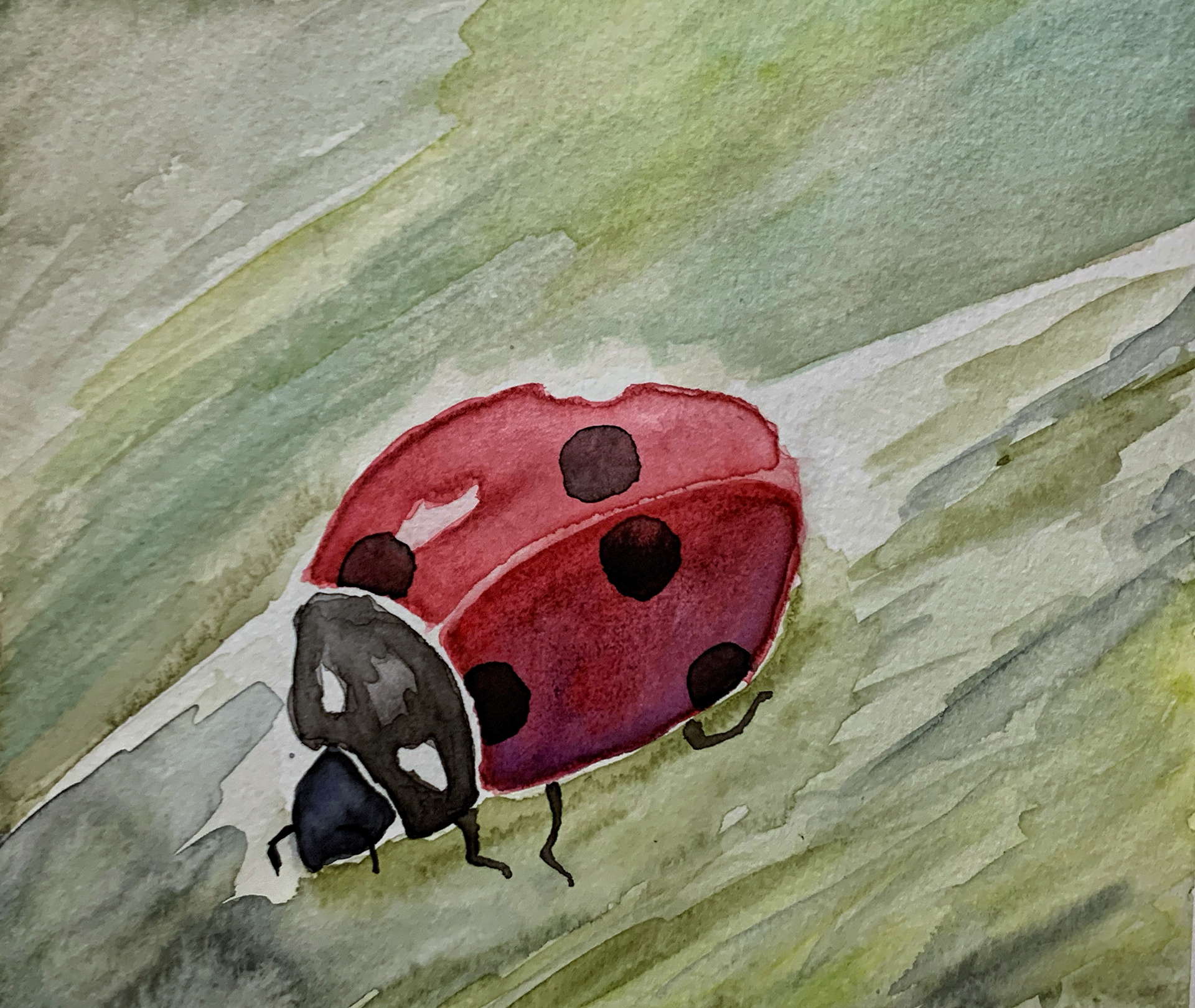 LadyBug (Watercolor)