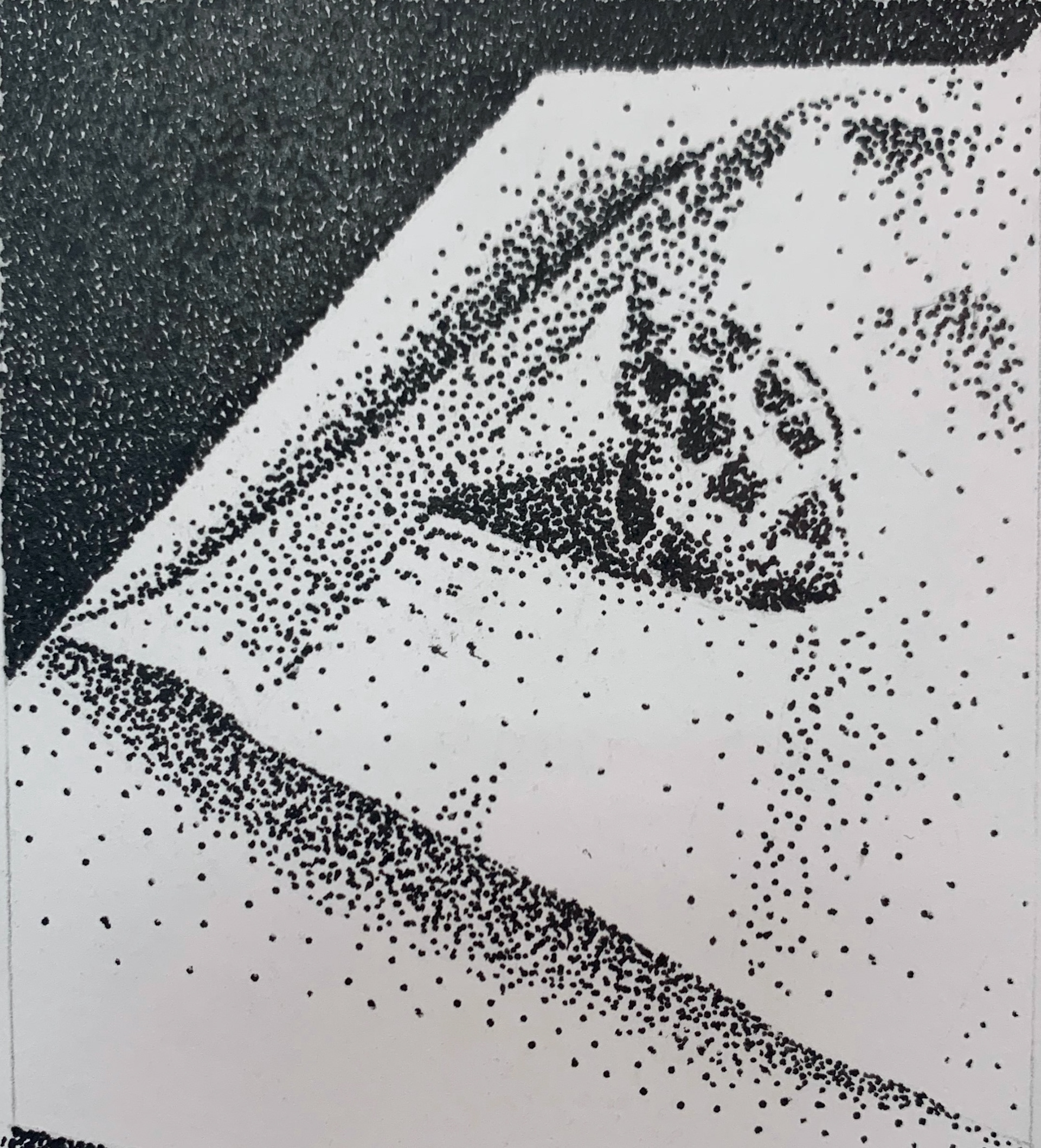 Shell (ink pen)