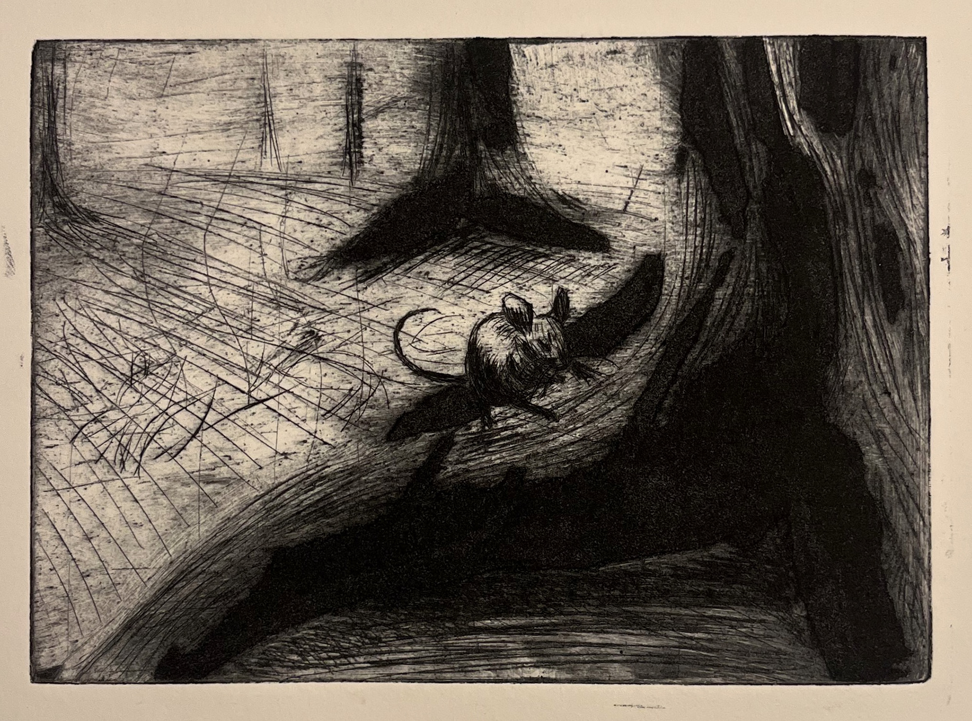 Mouse House