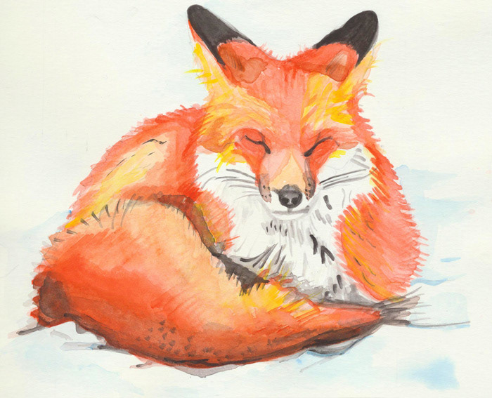 Sleeping Red Fox | 11”x 14”