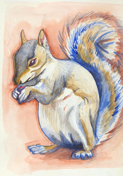 Northern Gray Squirrel | 11”x 14”