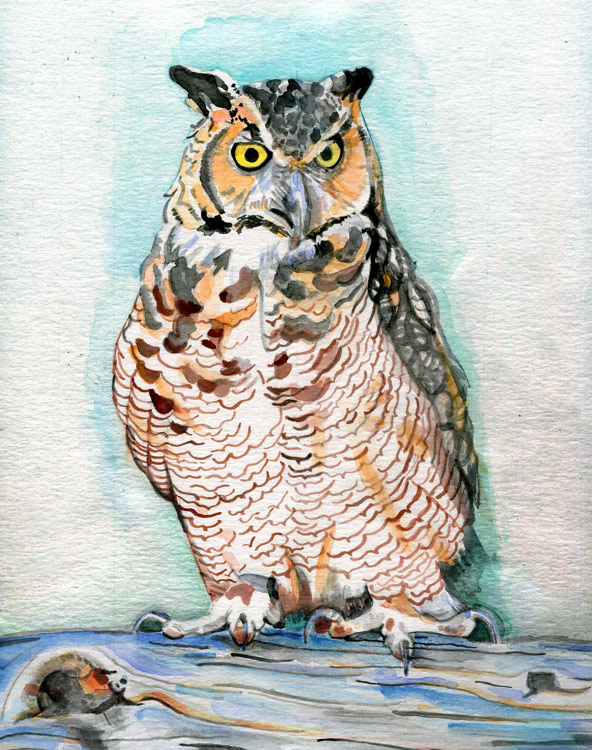 8. Great Horned Owl |