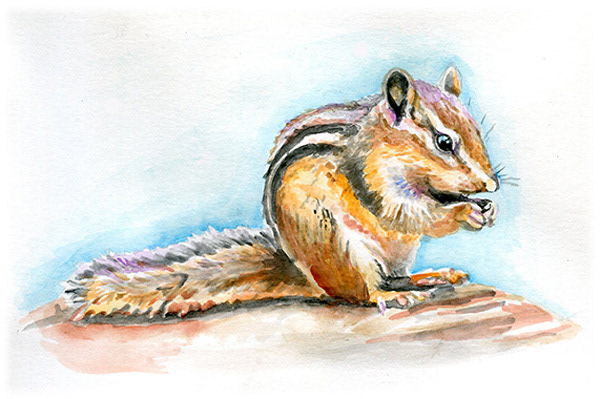 Chipmunk | 8” x 5..5”