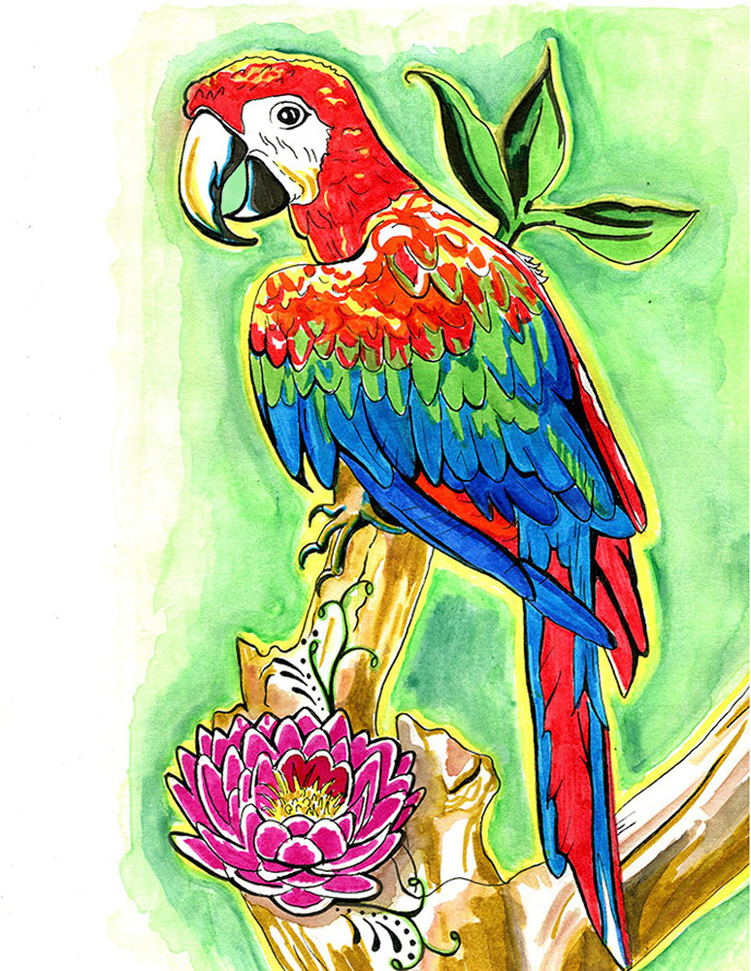 "Parrot" 9"x 11" Pen, Watercolors, Brush Pens