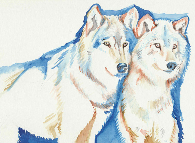 Gray Wolf Couple | 14” x 12”