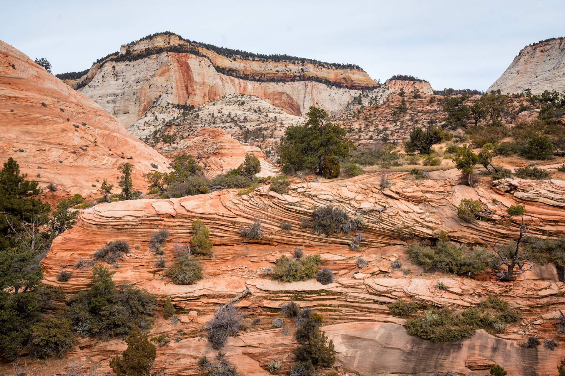 Zion National Park, USA