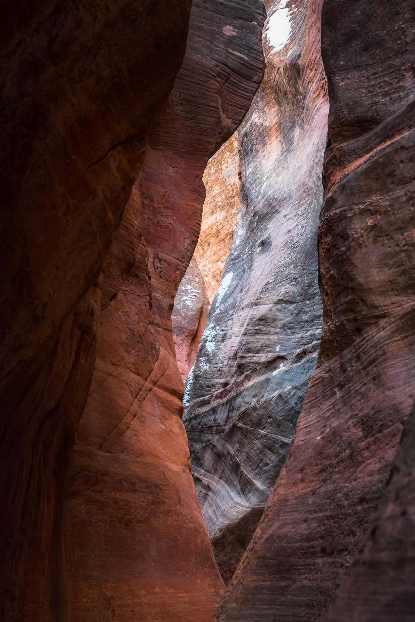 Arizona, USA