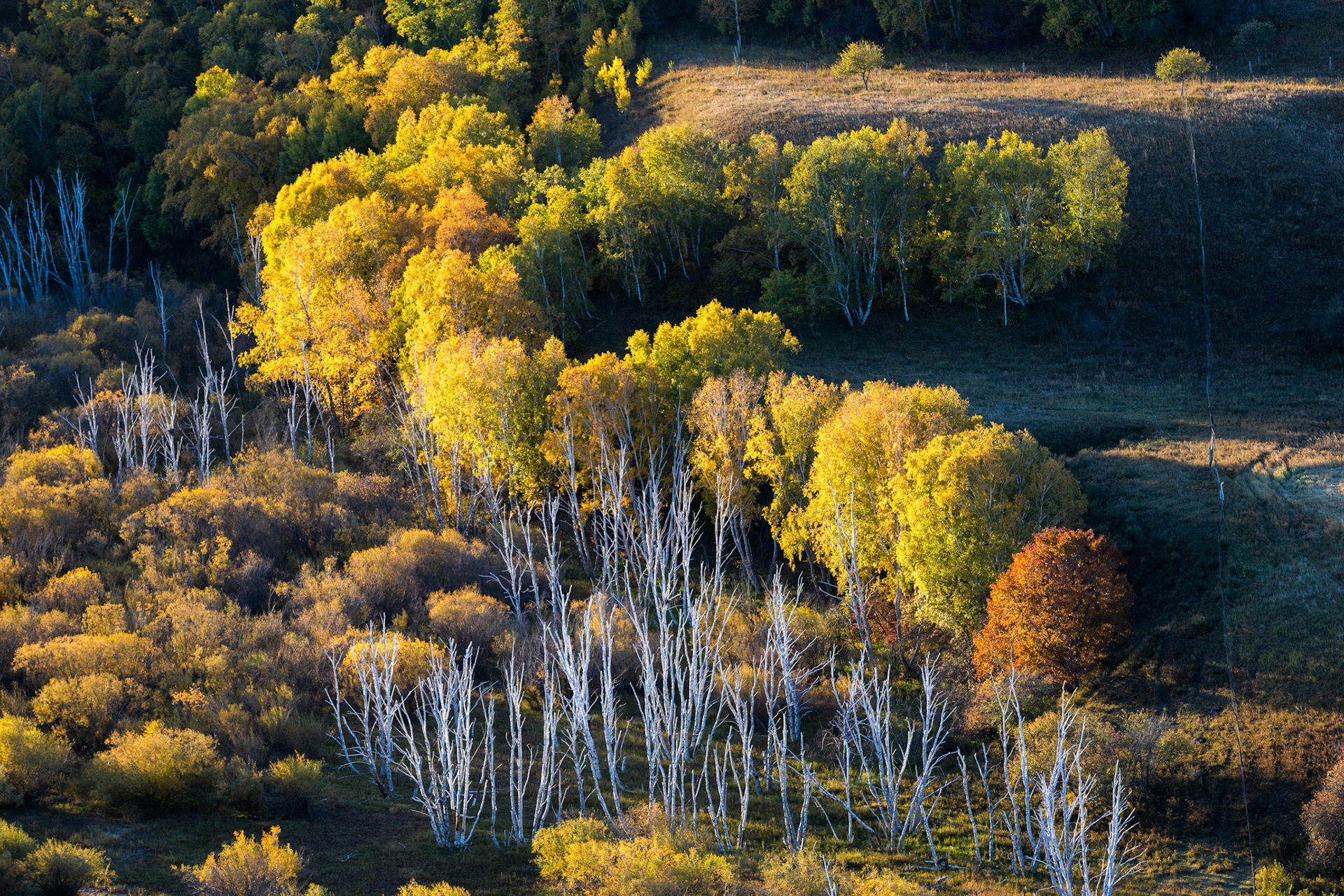 Inner Mongolia, China