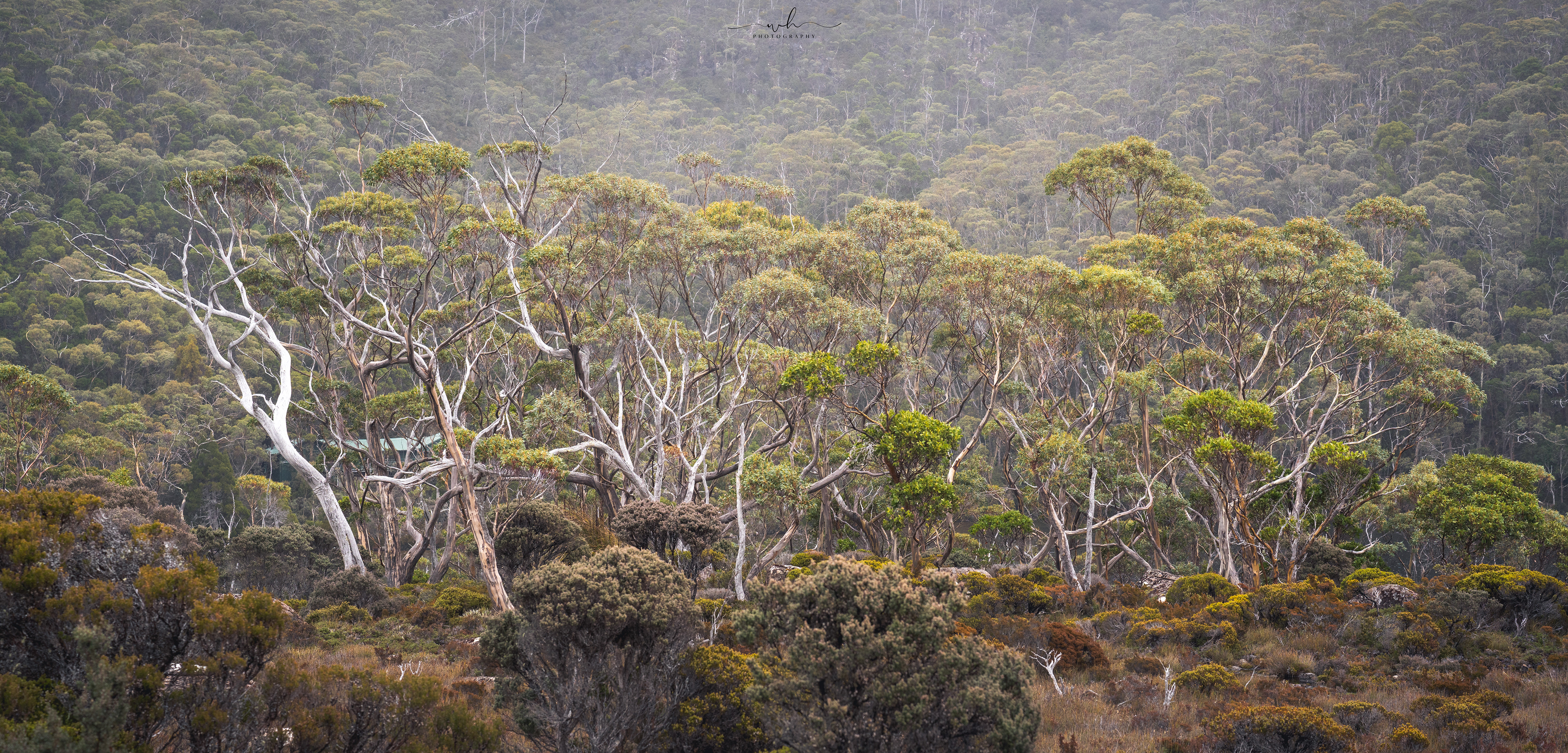Tasmania, Australia