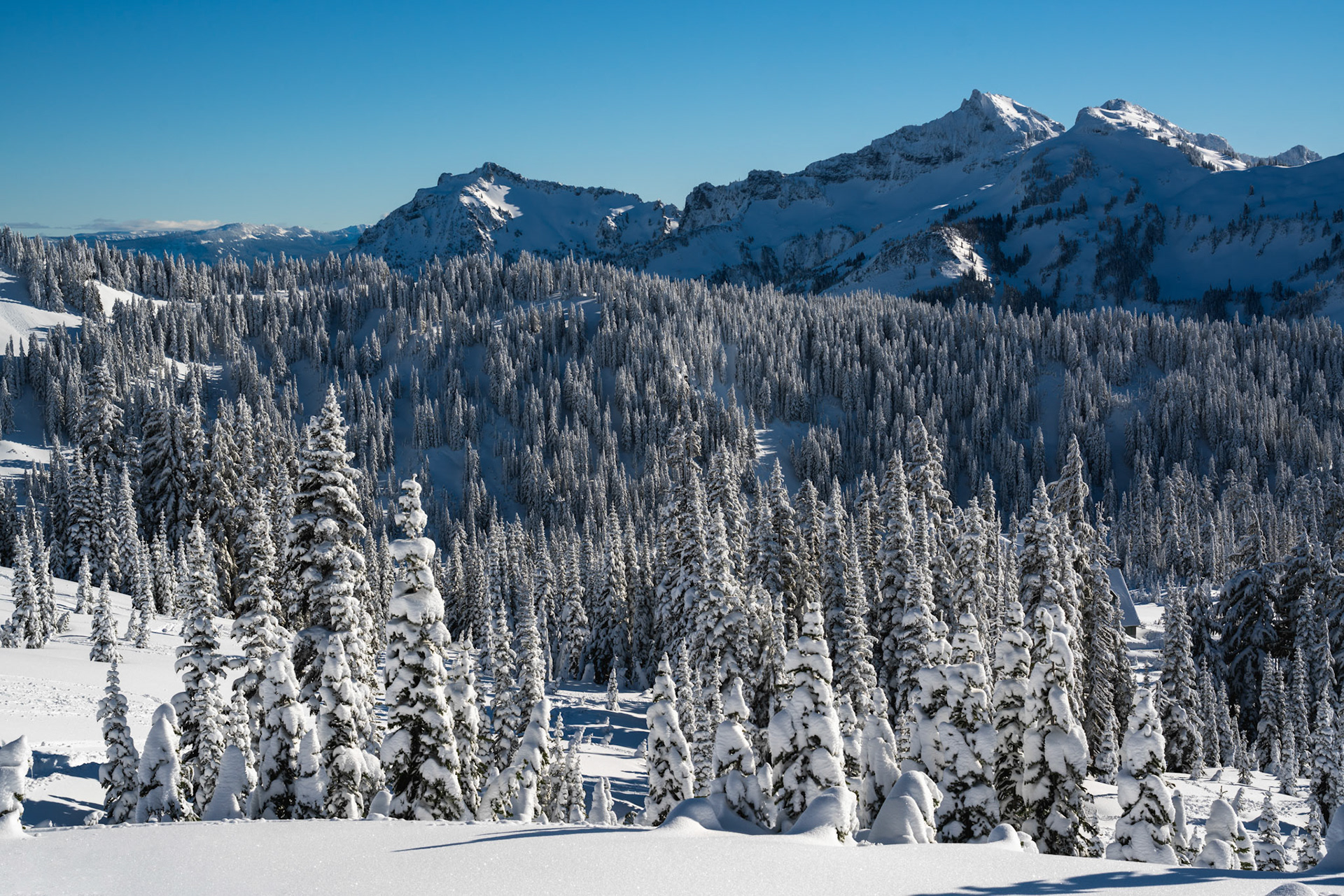 Mount Rainier National Park, USA