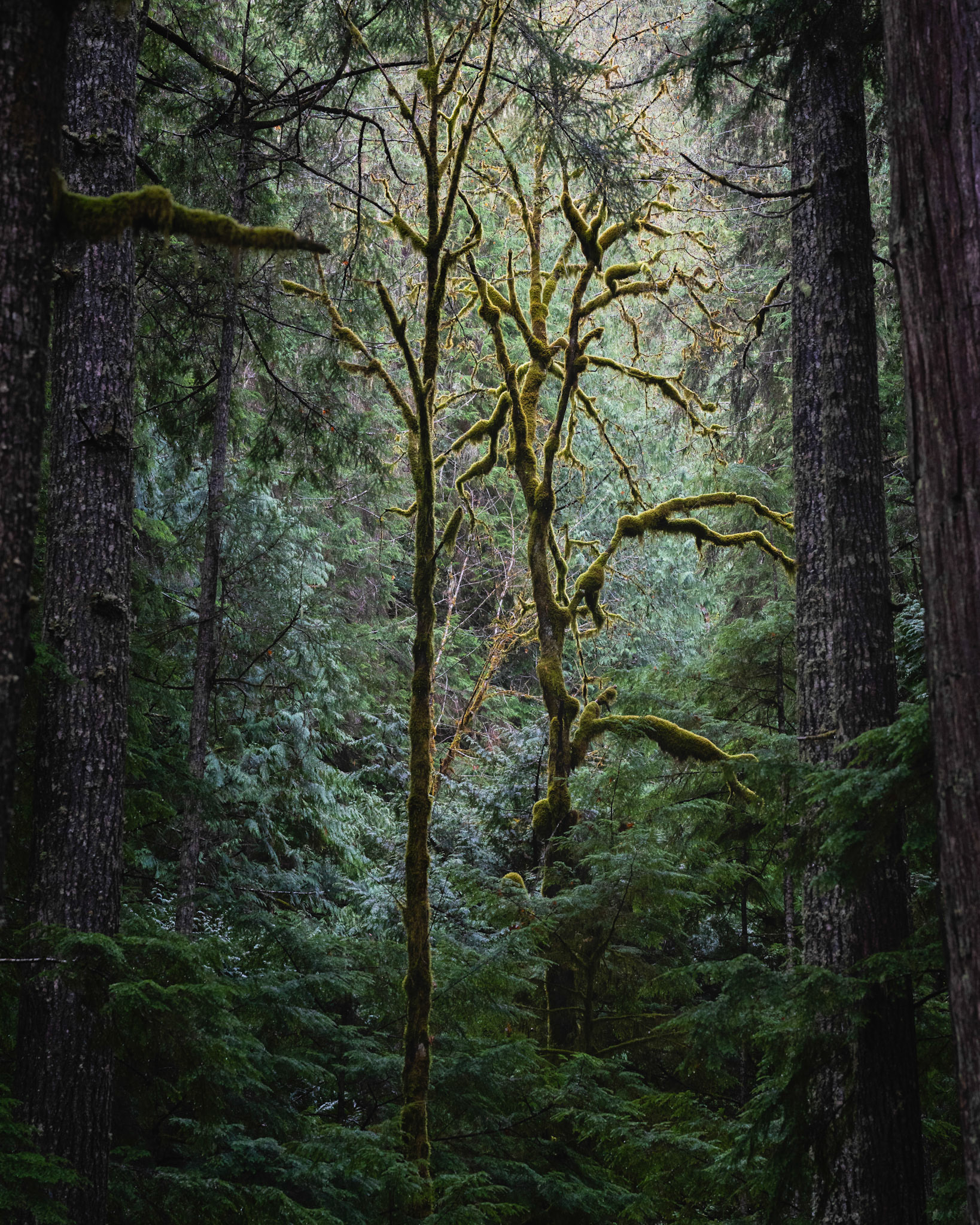 Washington State, USA