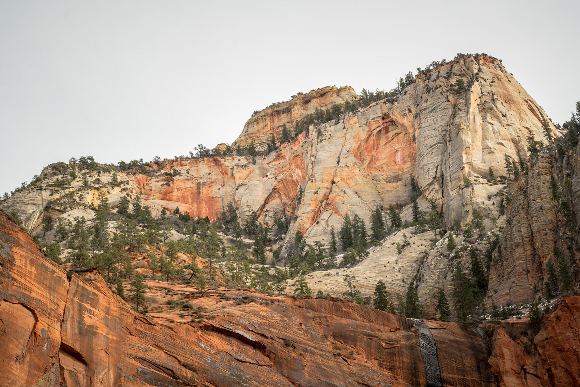 Zion National Park, USA