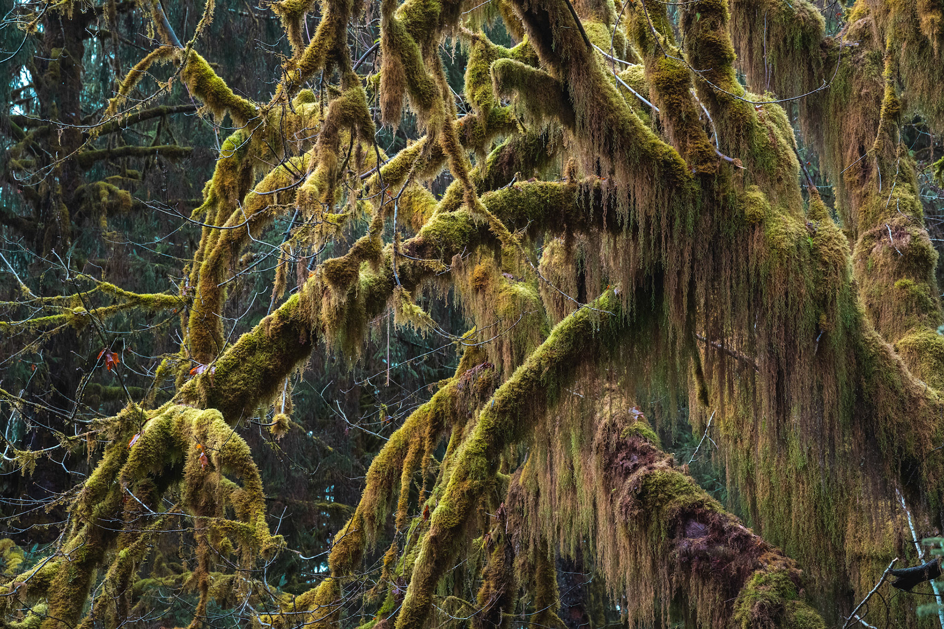 Washington State, USA