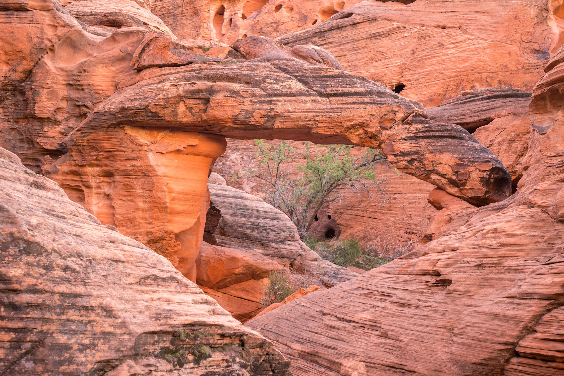 Valley of Fire State Park, USA