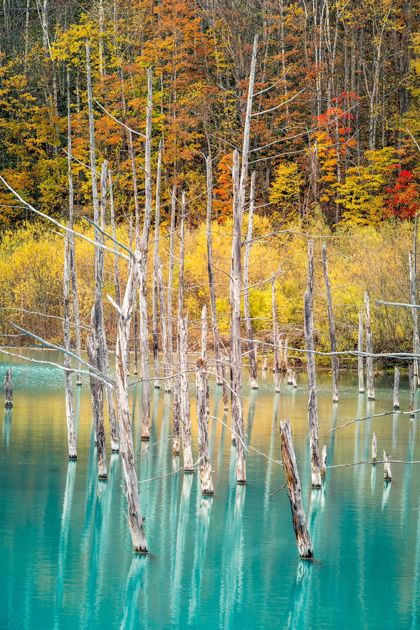 Hokkaido, Japan
