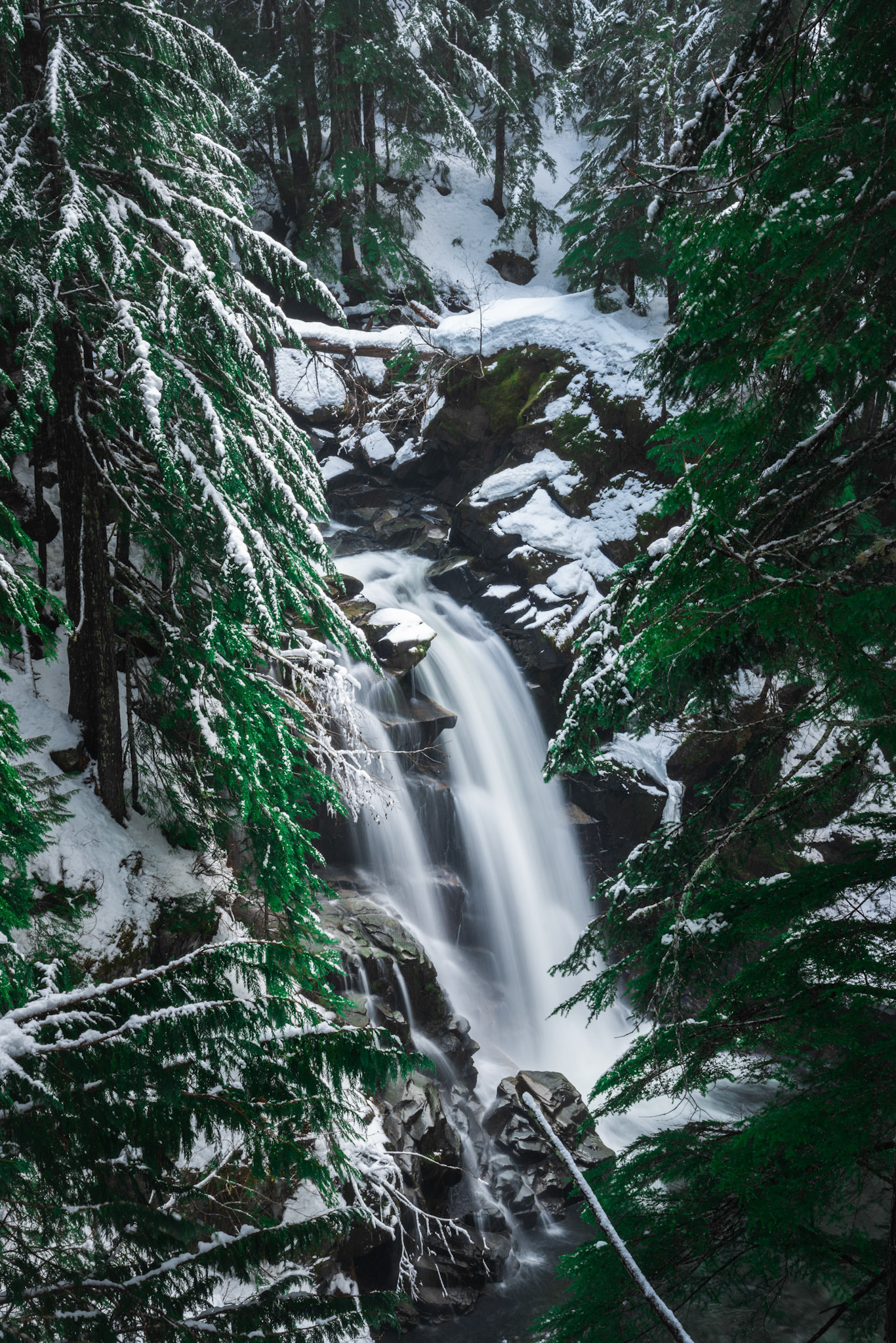 Mount Rainier National Park, USA
