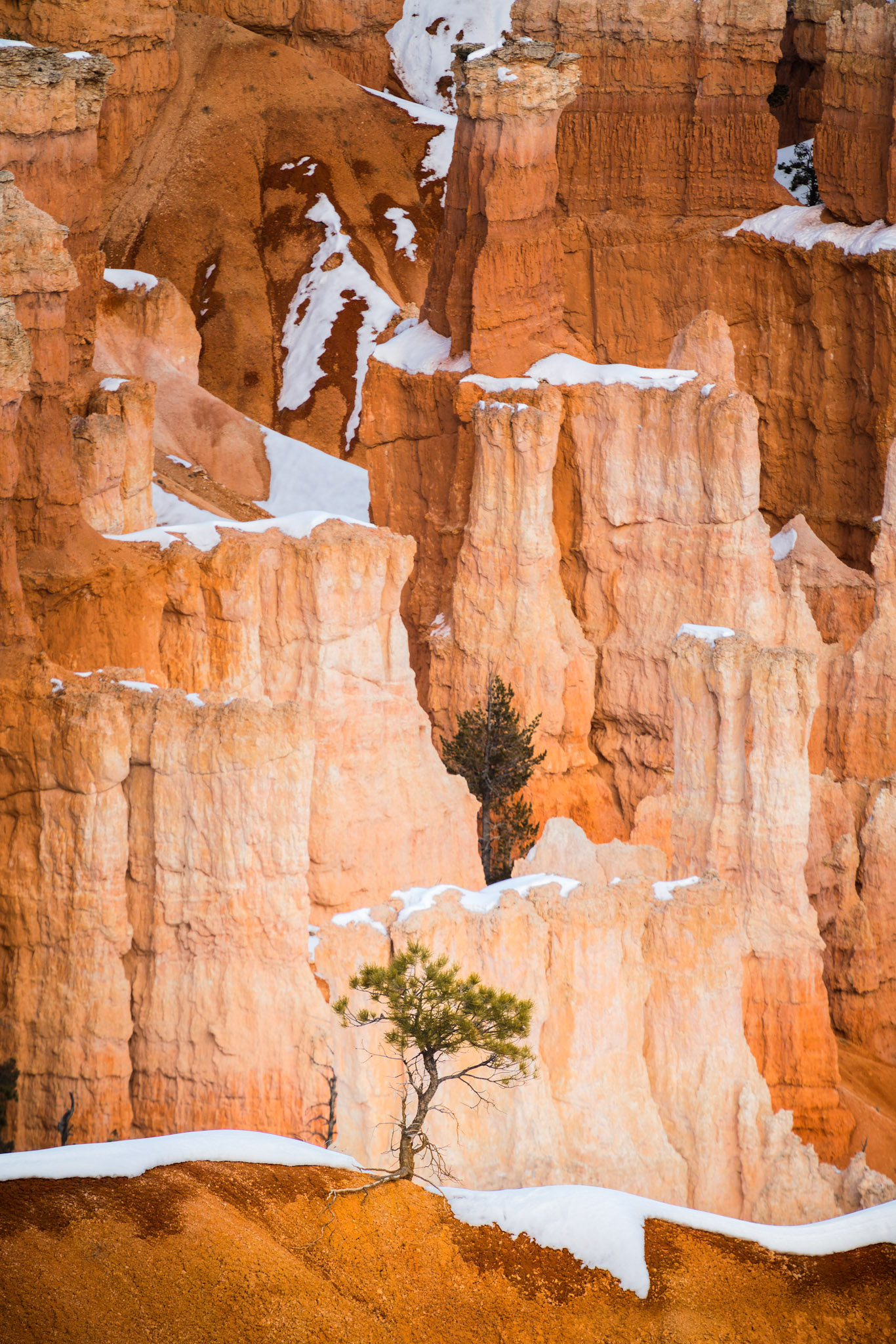 Bryce Canyon National Park, USA