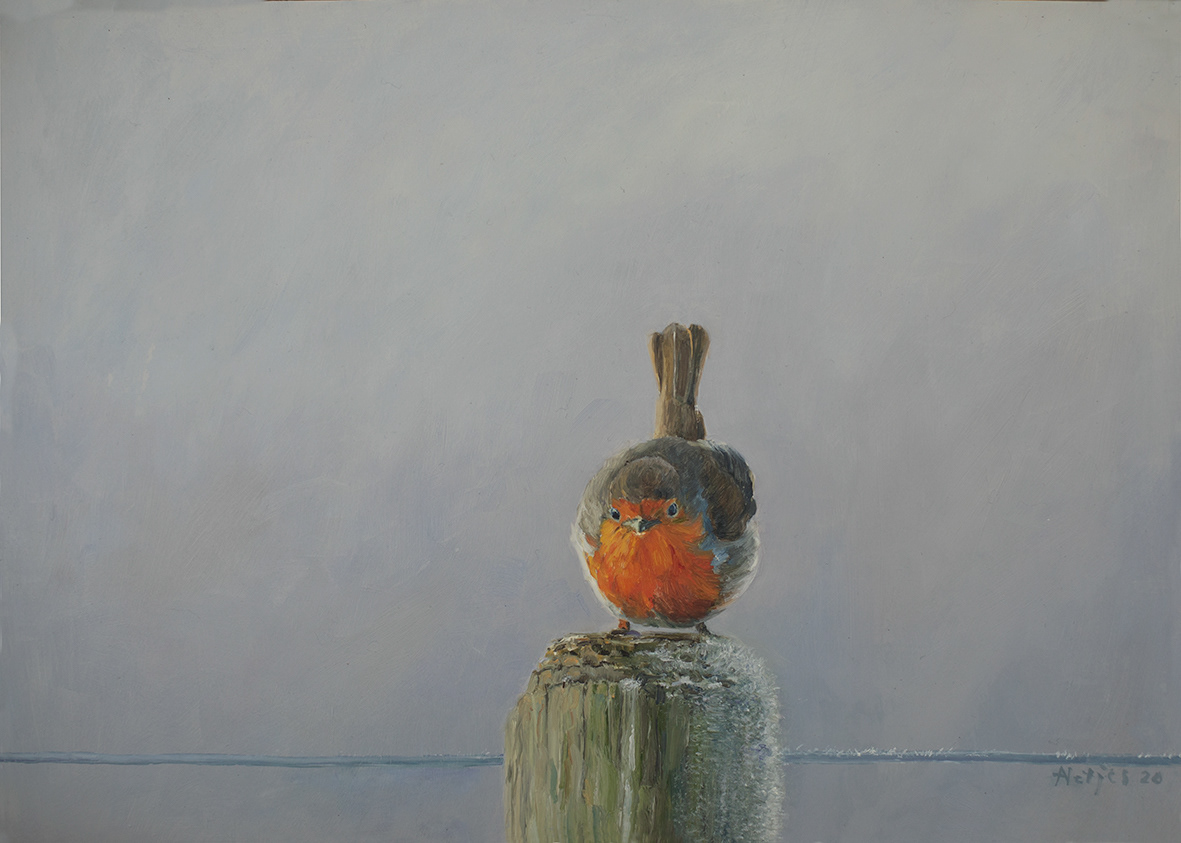 Robin (35x25 cm)