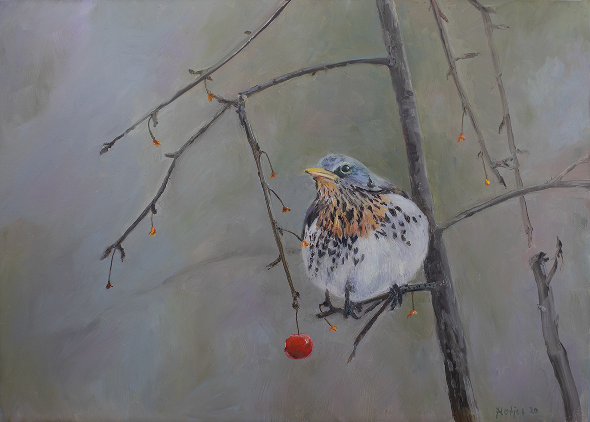 Fieldfare (35x25 cm)
