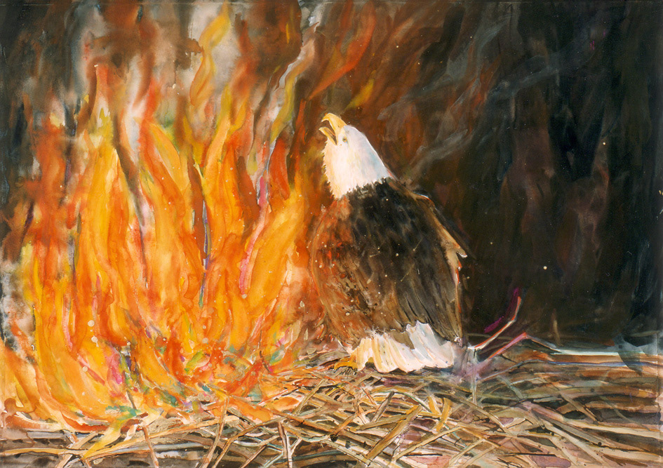 Fire of Love 1