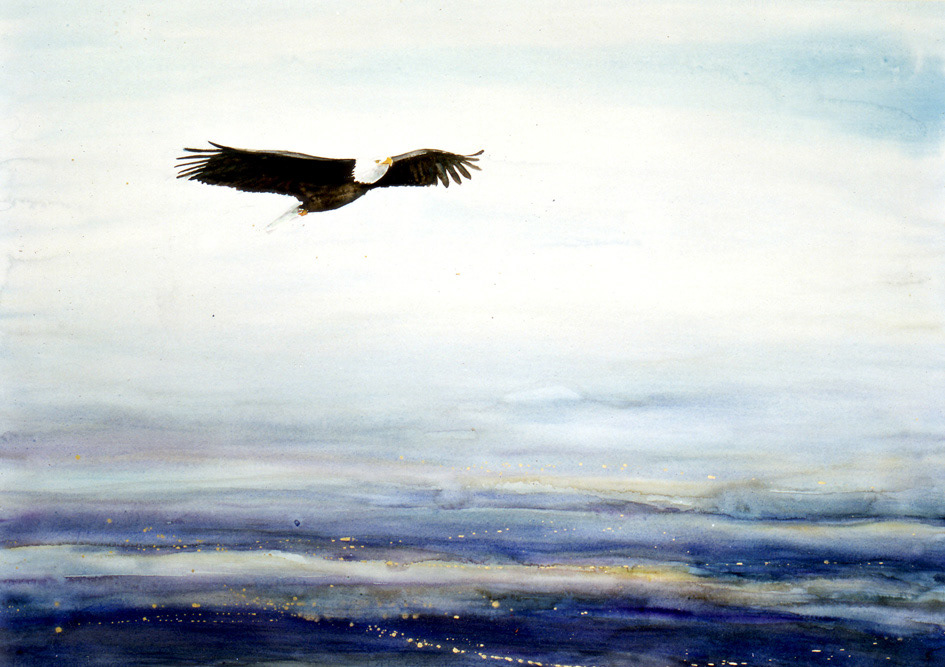 Soaring above the storm