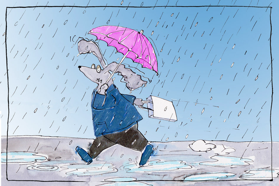 Image: story 'Flapp'