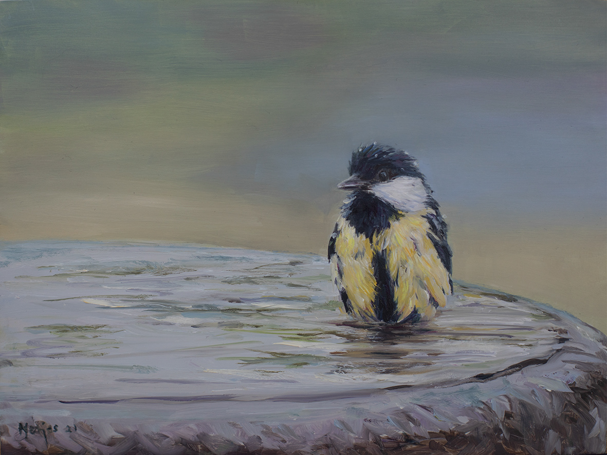 Coal tit (24x18 cm)