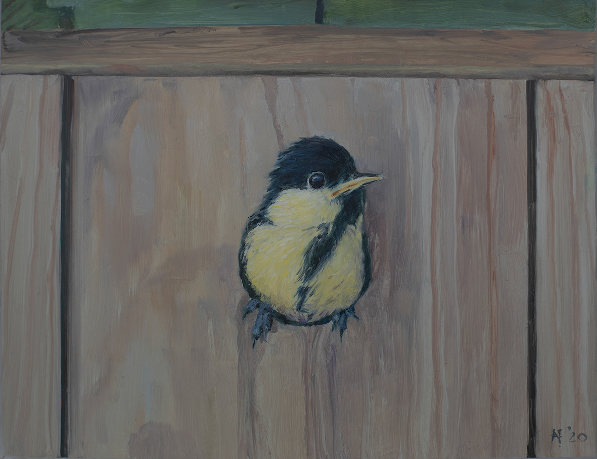Baby Coal tit (18x13 cm)