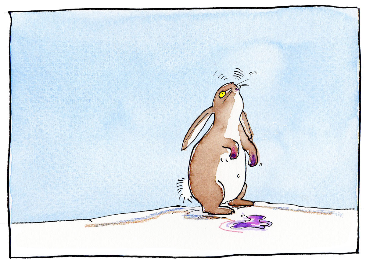 Image: story Polly