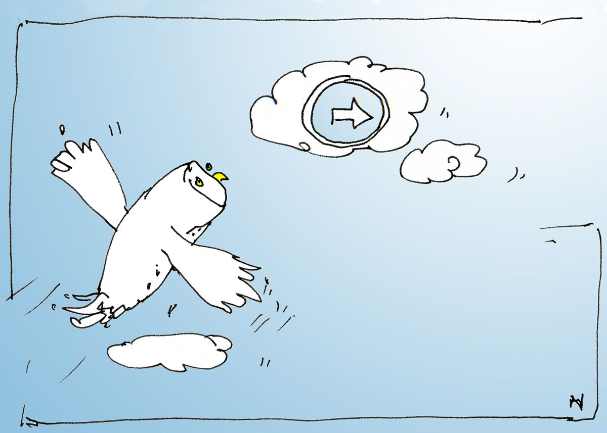 Image: story "Owl'