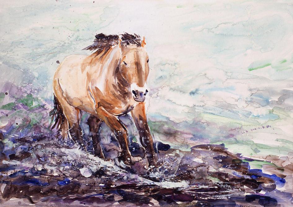 Jehu horse