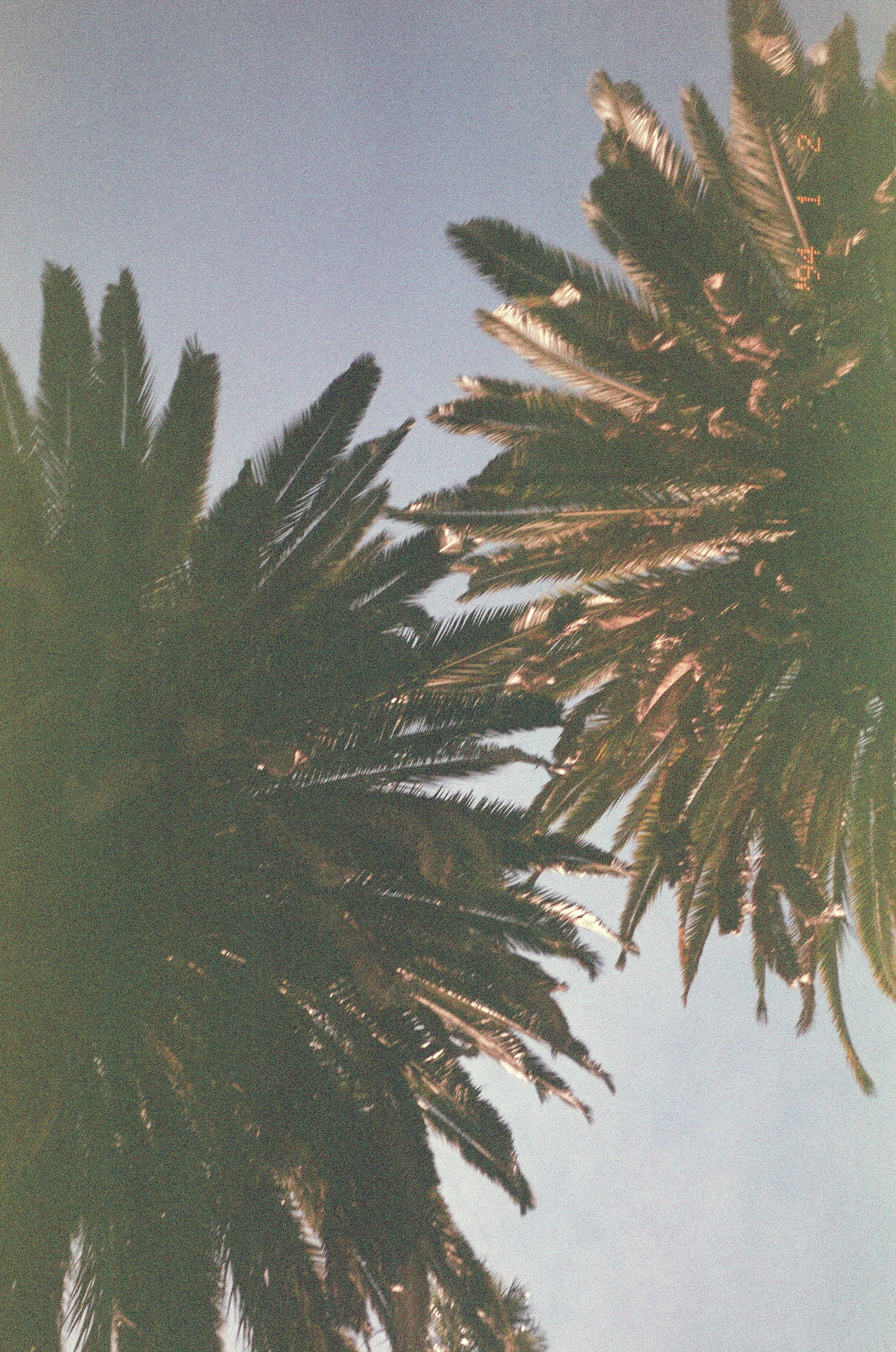 Roger Weeks; Love Letter to LA Series 2026