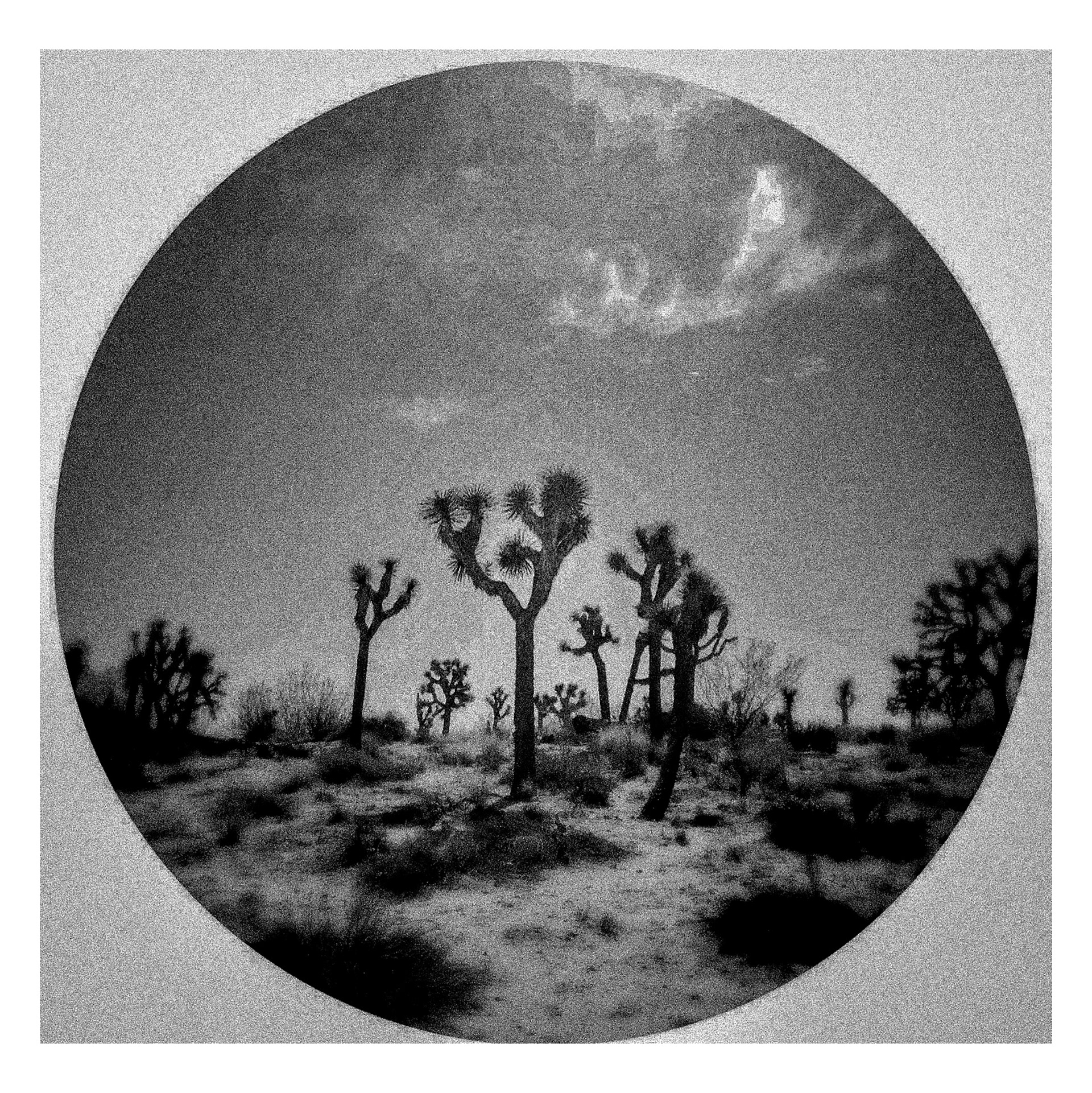 Joshua Tree, CA