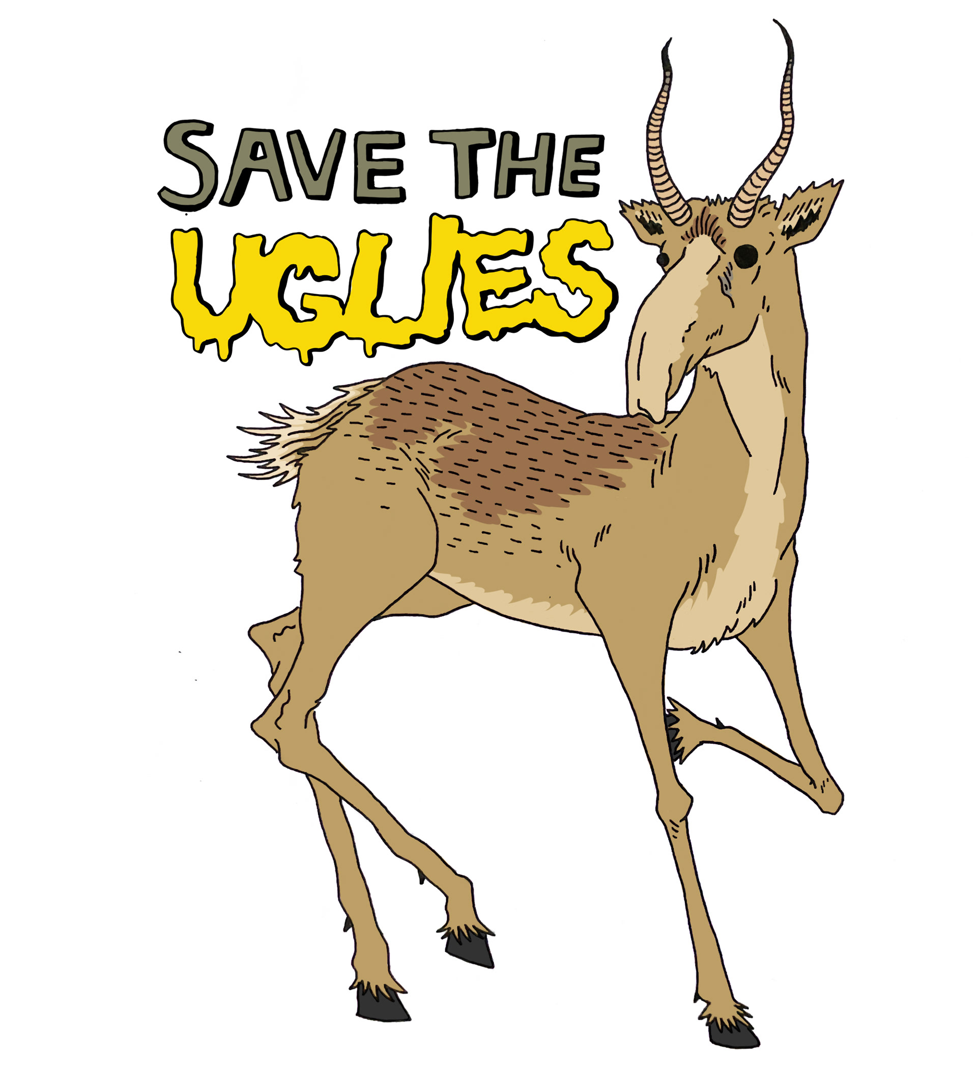 Saiga Antelope