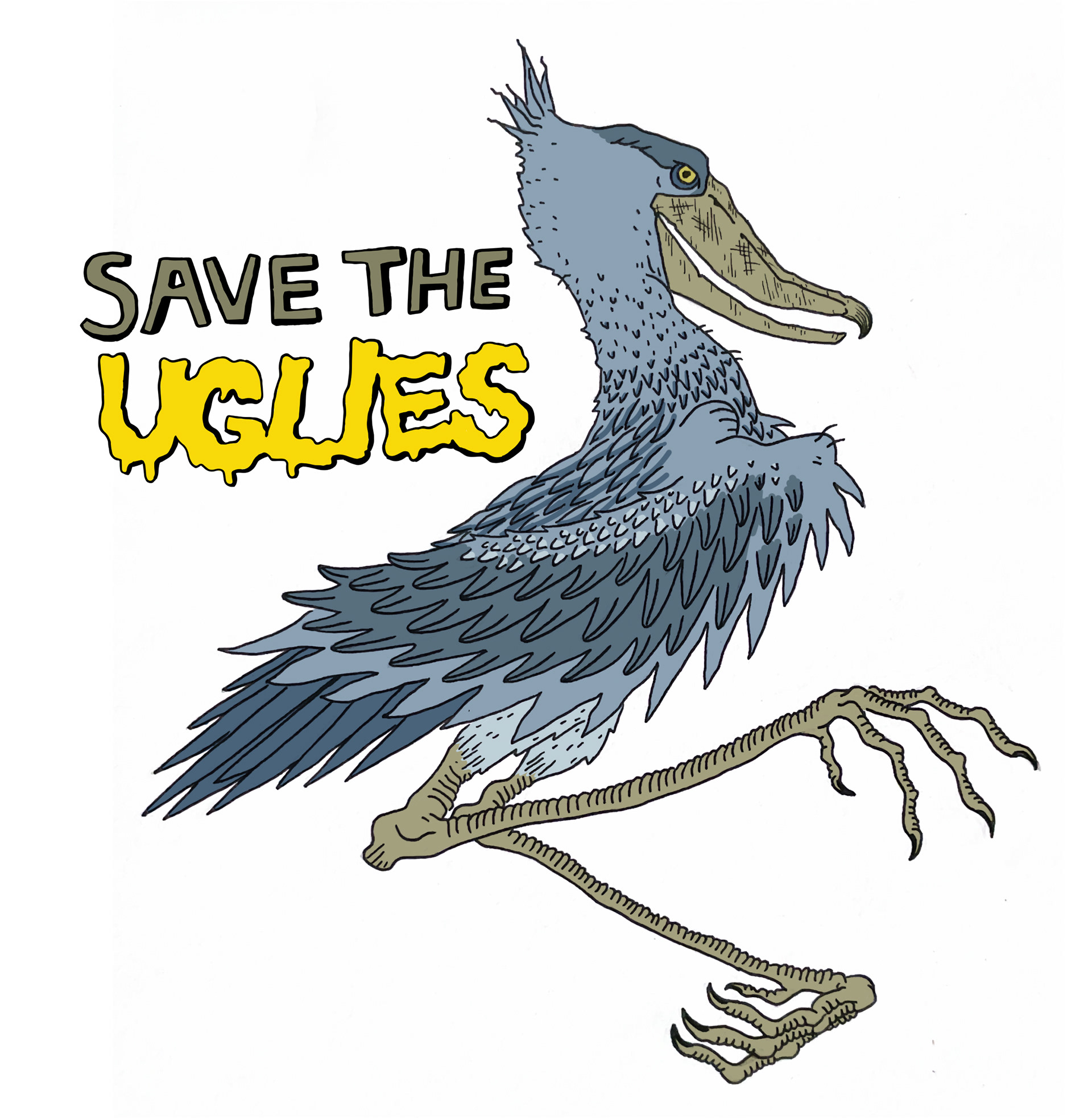 Shoebill