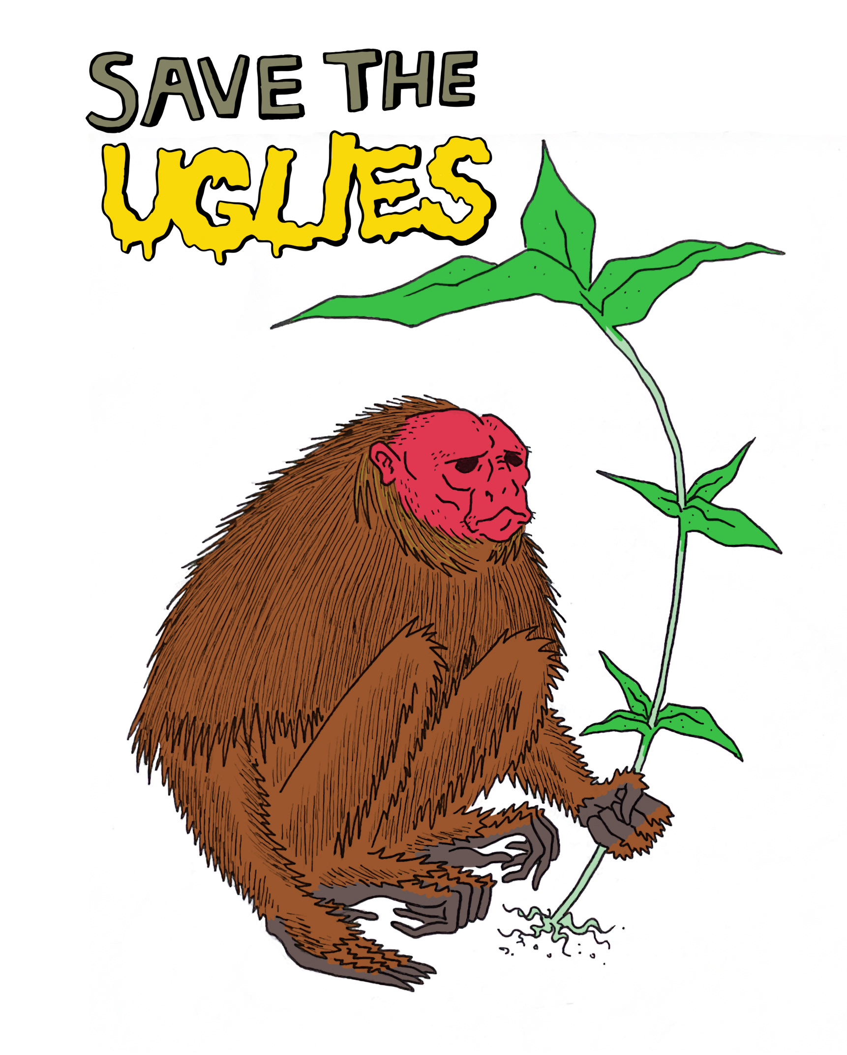 Bald Red Faced Uakari