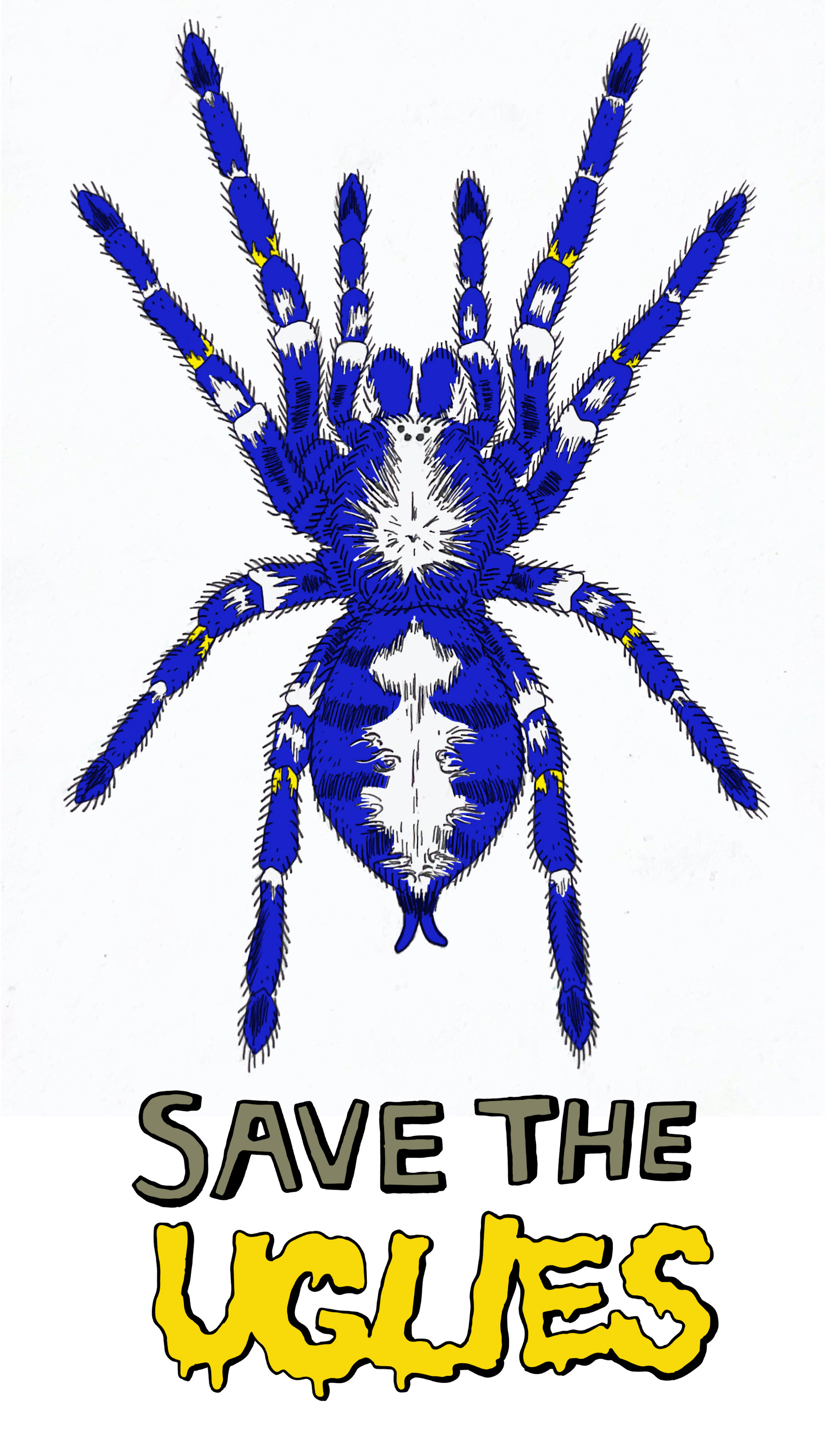Peacock Parachute Spider