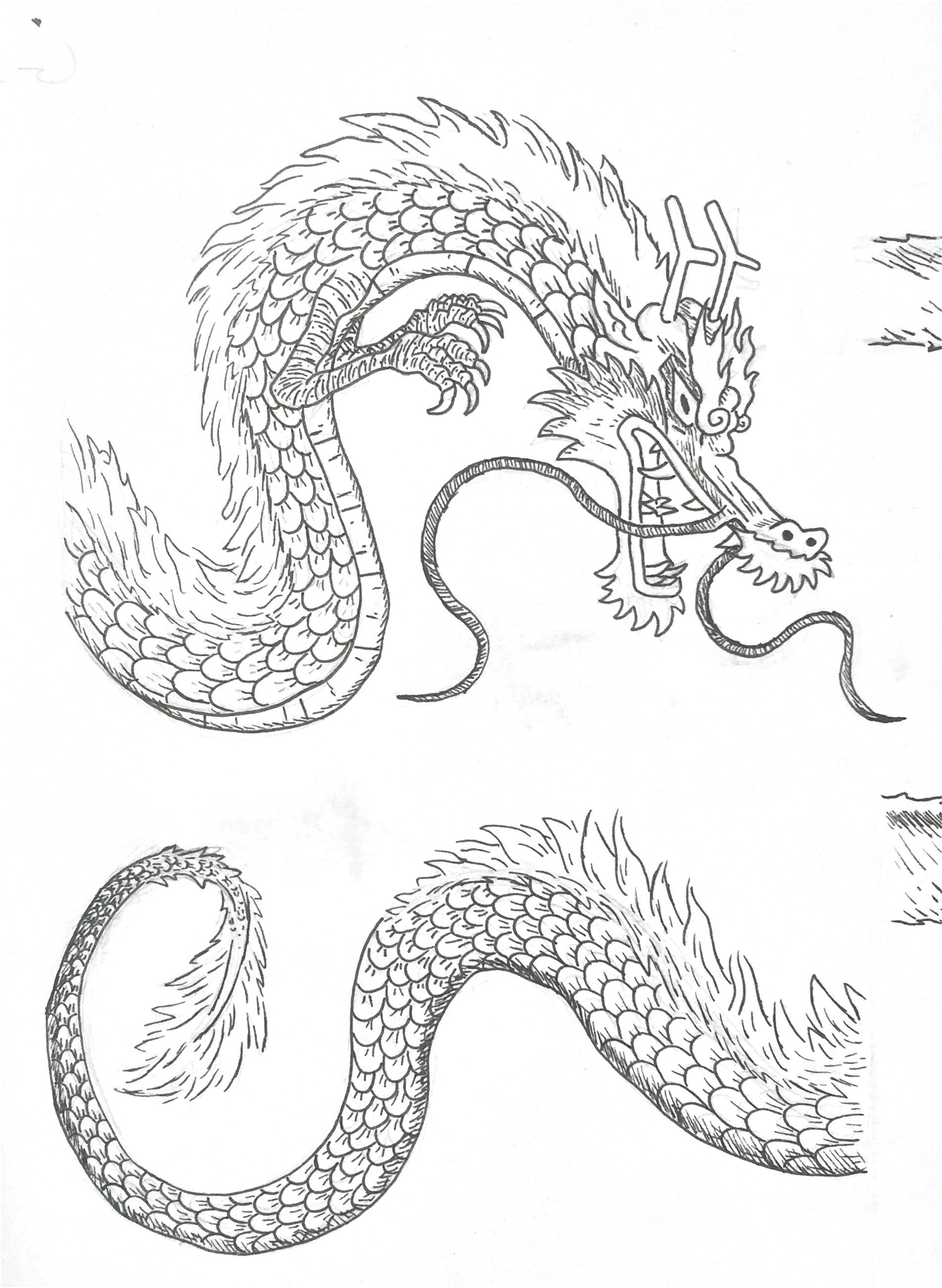loong inks