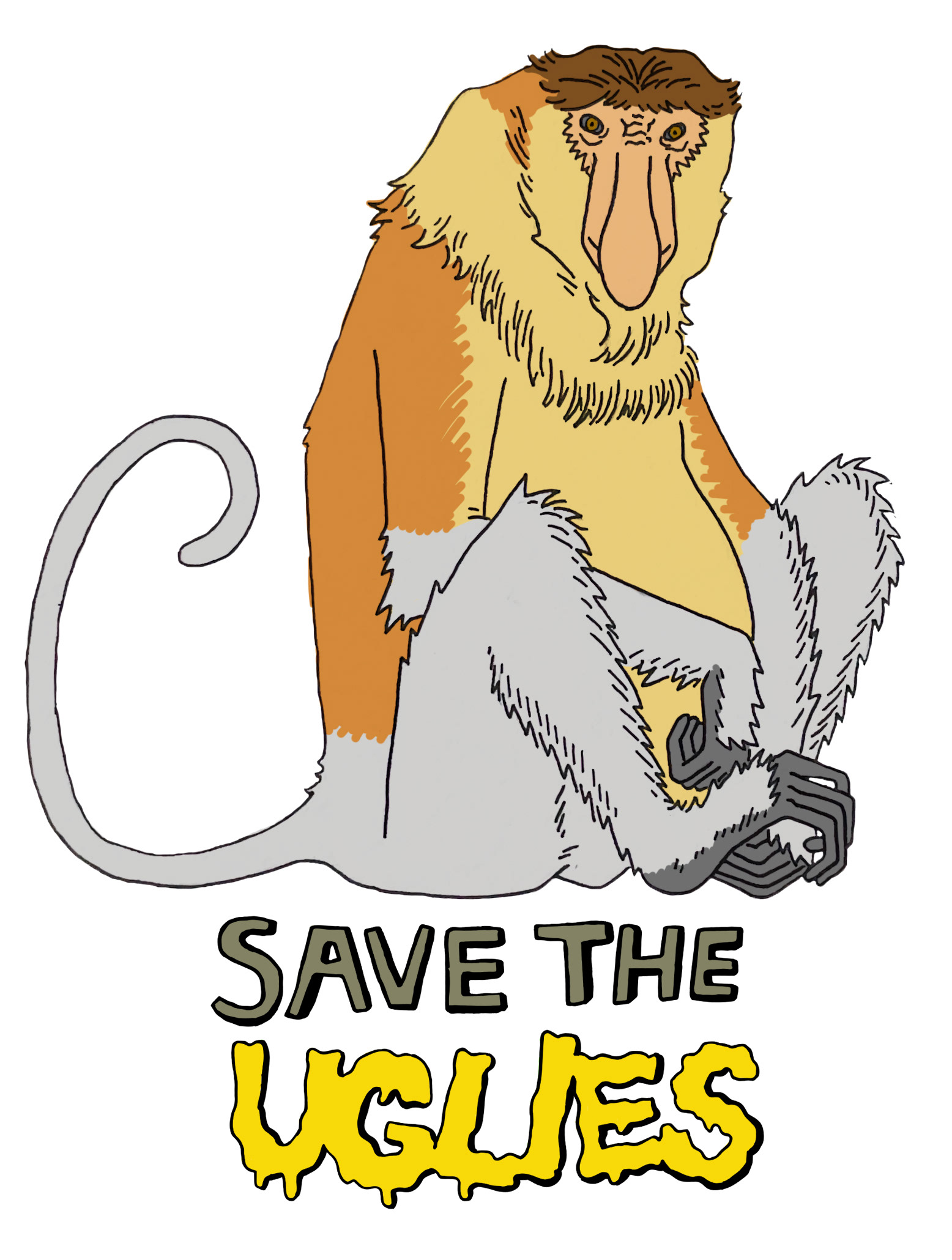 Proboscis Monkey