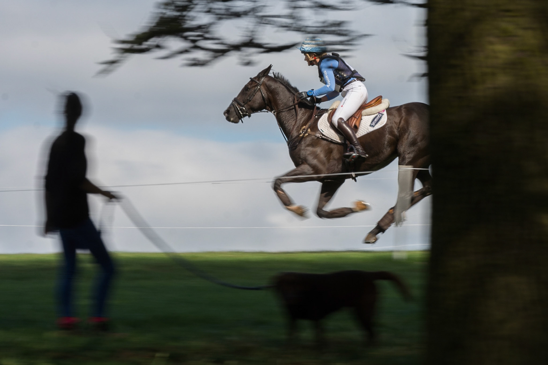Blenheim Palace Horse Trials 2016