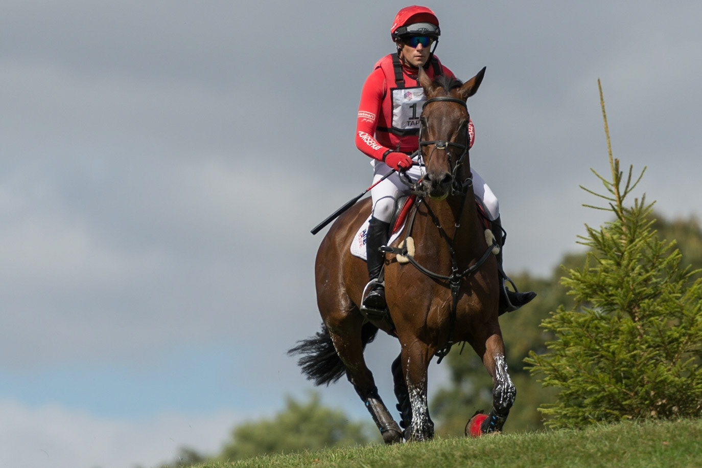 Blenheim Palace Horse Trials 2016
