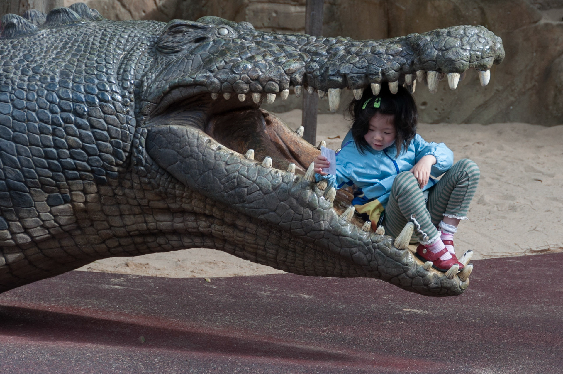 Lunchtime! (Archive shot from Australia Zoo)