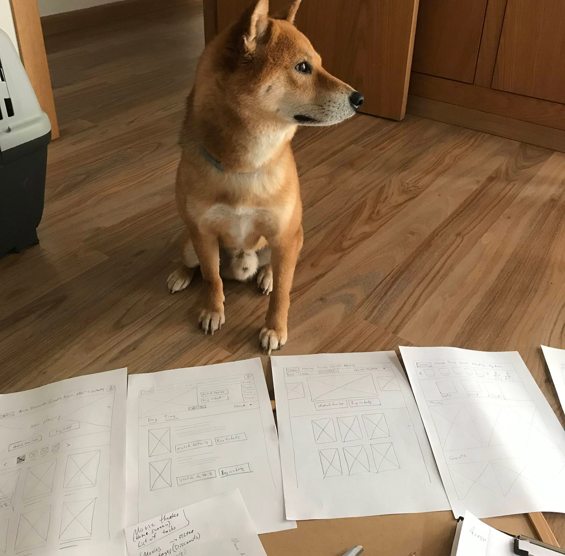 Working on paper wireframes