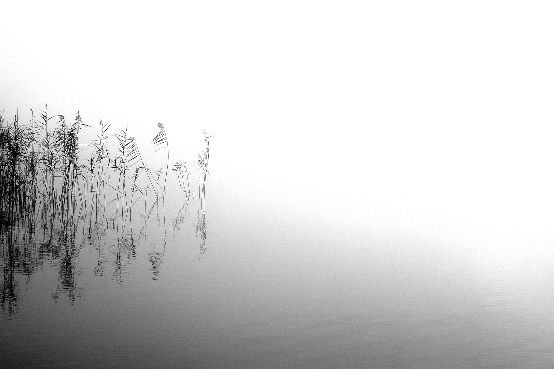 Tristess am See